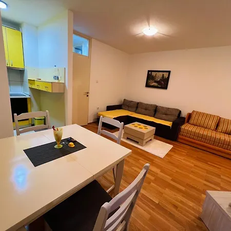 Stefan 公寓 巴尼西卢卡